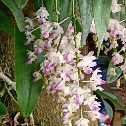 สมาชิกหมายเลข 6538932