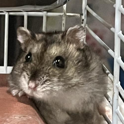 สมาชิกหมายเลข 6934735