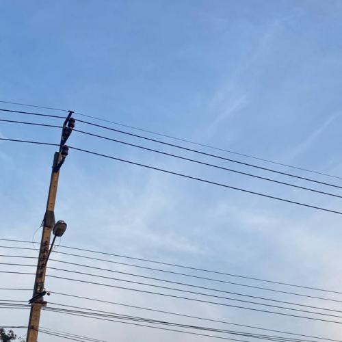 สมาชิกหมายเลข 7258905