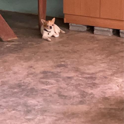 สมาชิกหมายเลข 1355074