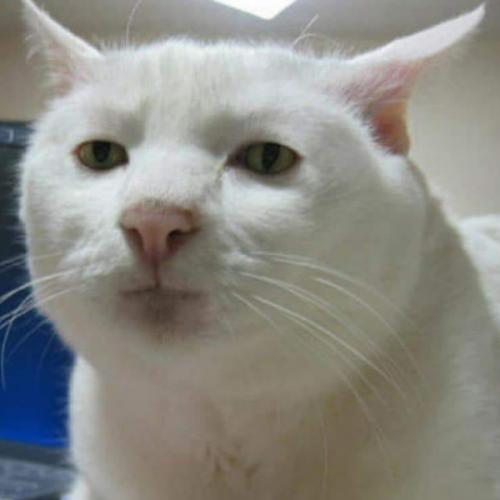 สมาชิกหมายเลข 1451468