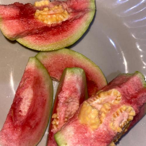 สมาชิกหมายเลข 5629394