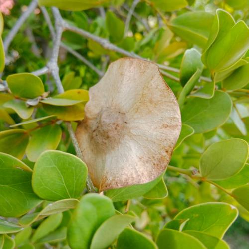 รักเธอจนหายสงสัย