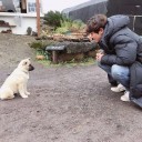 สมาชิกหมายเลข 2289727