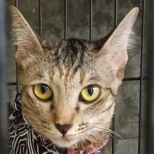 สมาชิกหมายเลข 2486420