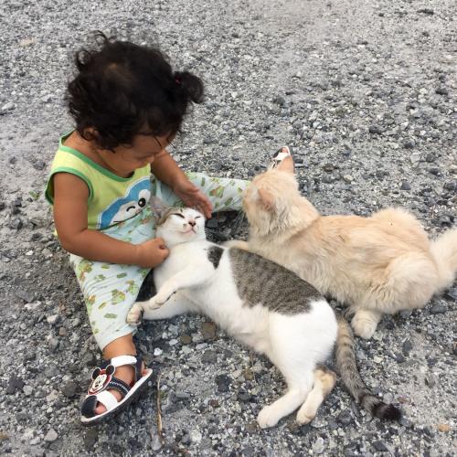 สมาชิกหมายเลข 5422124