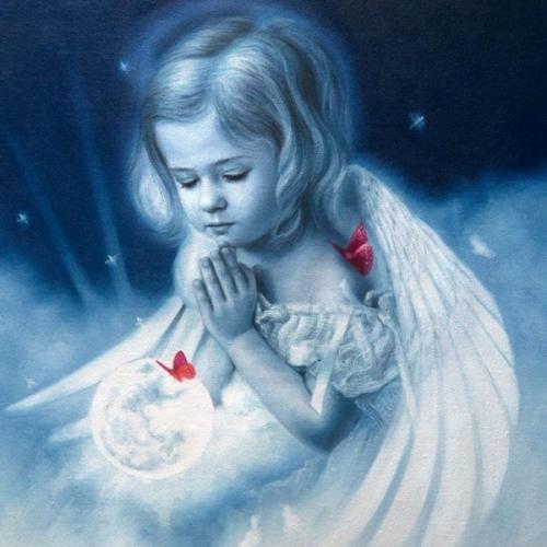 สมาชิกหมายเลข 5935707