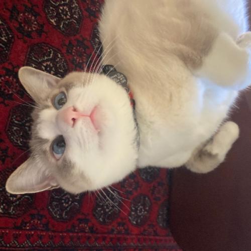 สมาชิกหมายเลข 3560238