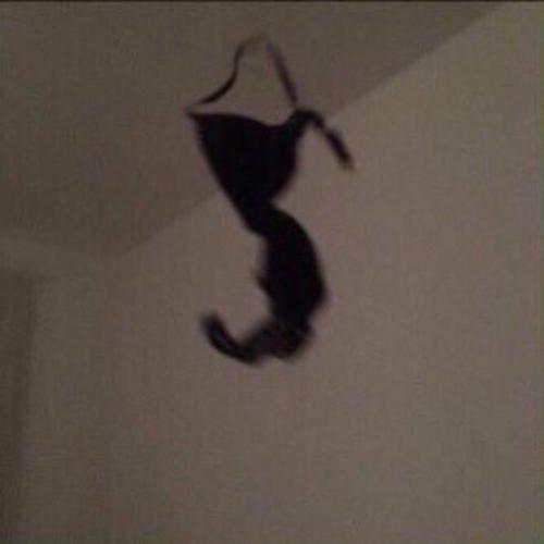 สมาชิกหมายเลข 7120965