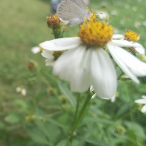 สมาชิกหมายเลข 7289643