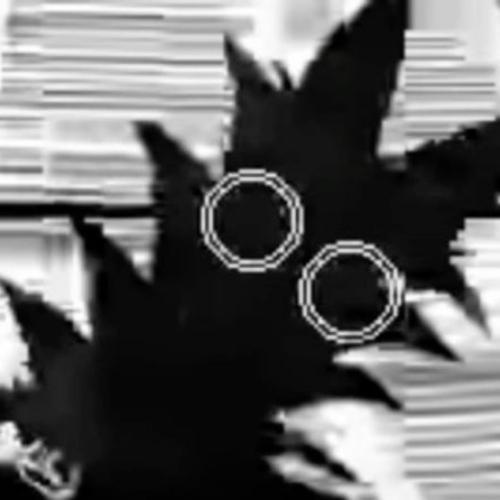 สมาชิกหมายเลข 8125920