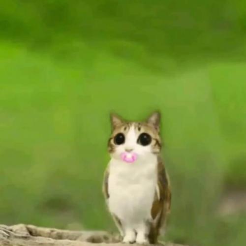 สมาชิกหมายเลข 8383090