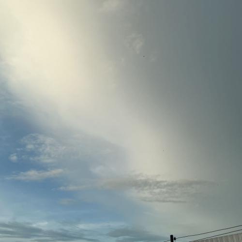 สมาชิกหมายเลข 9101552