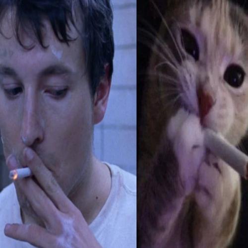 สมาชิกหมายเลข 9102174