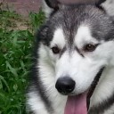 สมาชิกหมายเลข 3564107