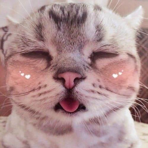 สมาชิกหมายเลข 4907769