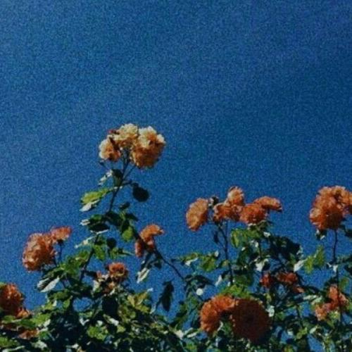 สมาชิกหมายเลข 2827044