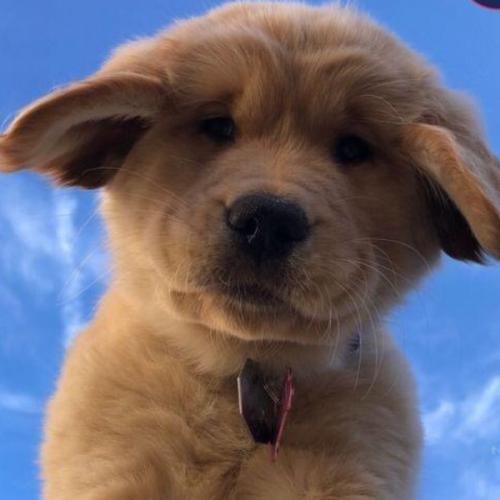 สมาชิกหมายเลข 1104409