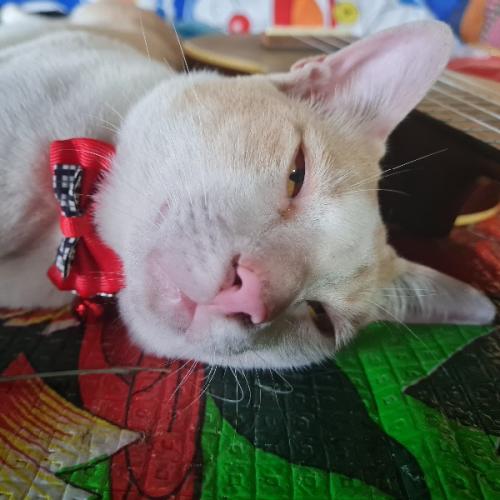 สมาชิกหมายเลข 1284062