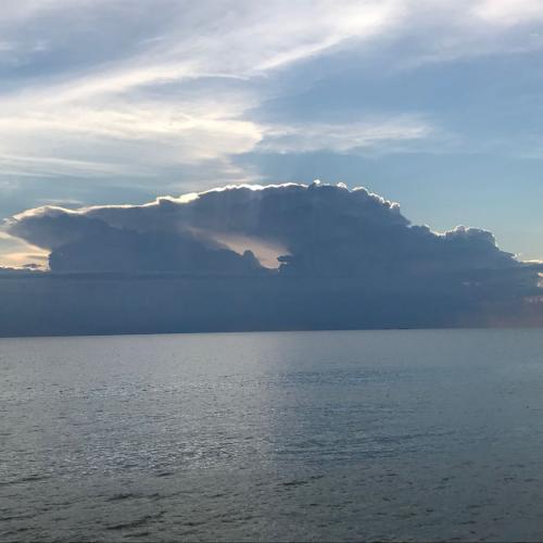 สมาชิกหมายเลข 6540134