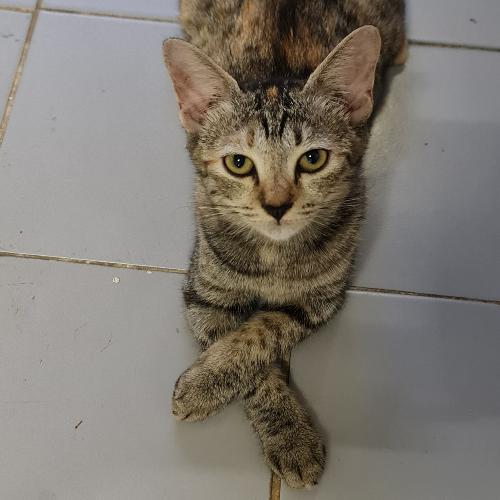 สมาชิกหมายเลข 2075575