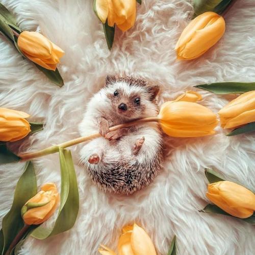 รหัสธรรมชาติ