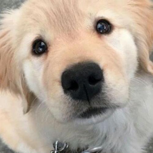 สมาชิกหมายเลข 8622683