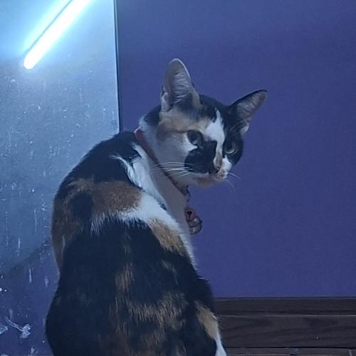 สมาชิกหมายเลข 9102635