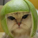 สมาชิกหมายเลข 3821036