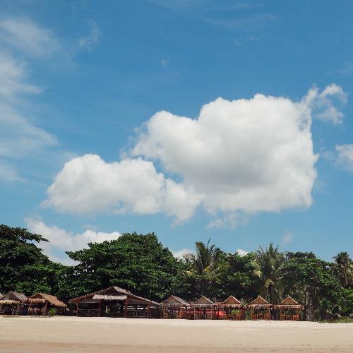 สมาชิกหมายเลข 4667156