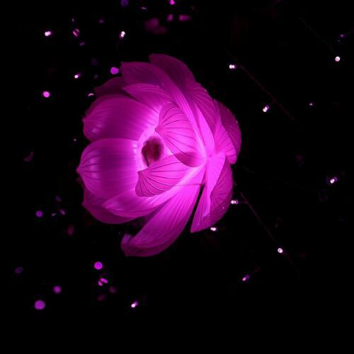 สมาชิกหมายเลข 4124187