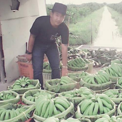 สมาชิกหมายเลข 4555326