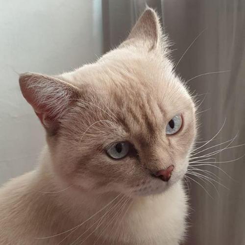 สมาชิกหมายเลข 5315517