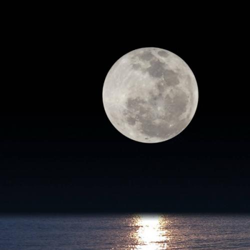 สมาชิกหมายเลข 1830940