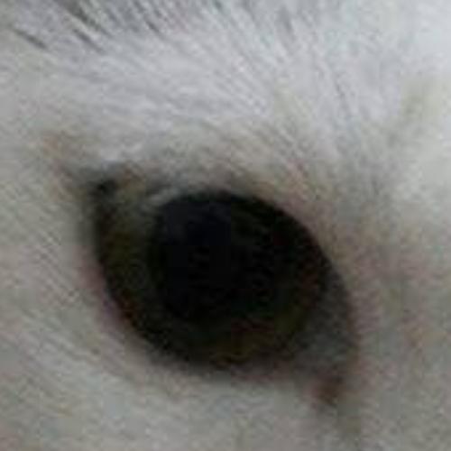 สมาชิกหมายเลข 5344993