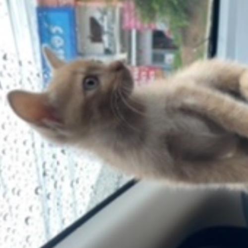 สมาชิกหมายเลข 6540786