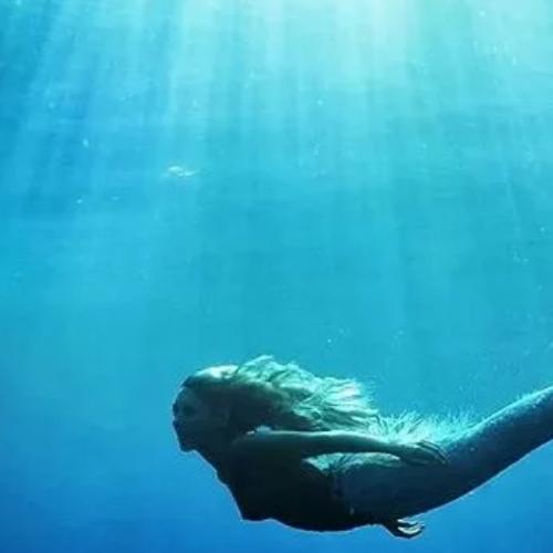 สมาชิกหมายเลข 3082564