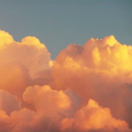 สมาชิกหมายเลข 6980866