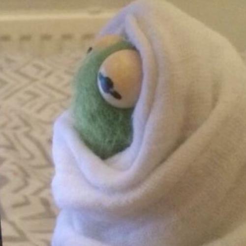 สมาชิกหมายเลข 7260700