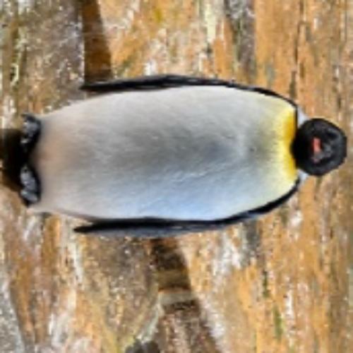 สมาชิกหมายเลข 7346616