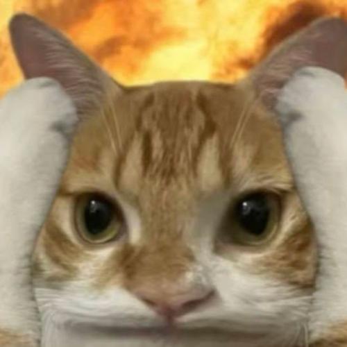 สมาชิกหมายเลข 8613813