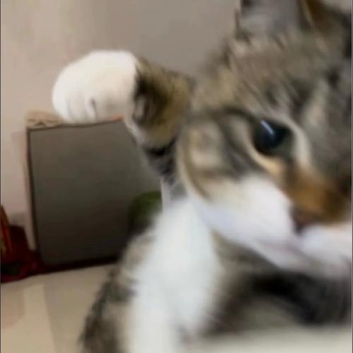 สมาชิกหมายเลข 9103211