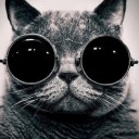 สมาชิกหมายเลข 3821334