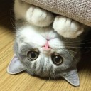 เหาะเหินเดินอากาศ