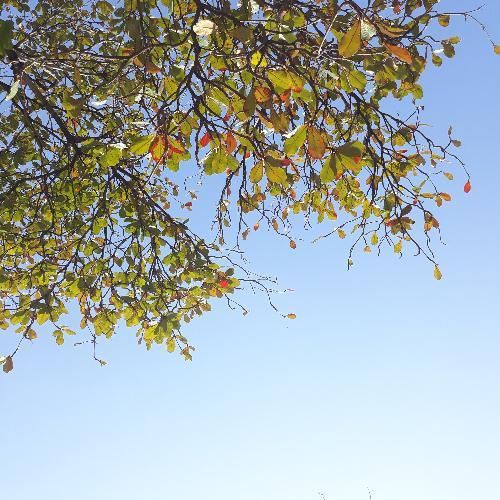 สมาชิกหมายเลข 4124618