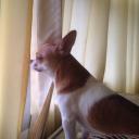 สมาชิกหมายเลข 4286934