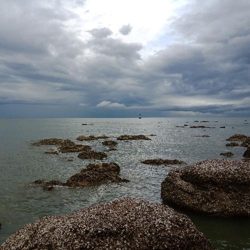 สมาชิกหมายเลข 3643043