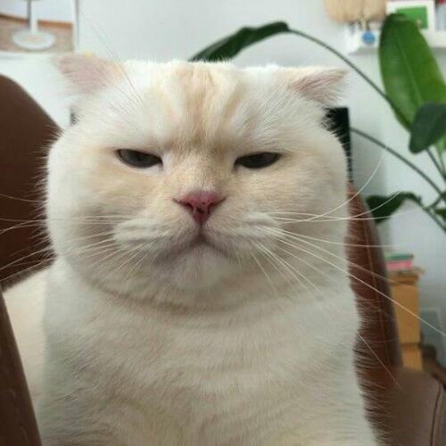 สมาชิกหมายเลข 4104707