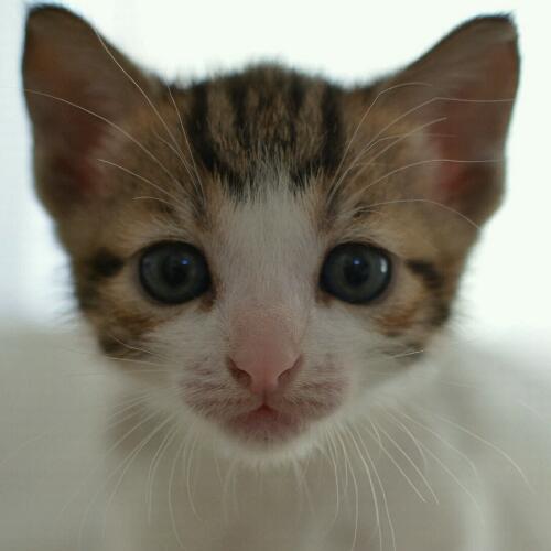 สมาชิกหมายเลข 4925724