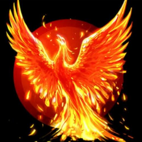 สมาชิกหมายเลข 5013397